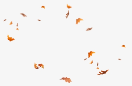 Leaves Falling Png - Overlay Fall Leaves Png, Transparent Png, Transparent PNG