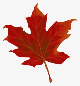 Leaf, Autumn, Autumn Leaves, Fall, Red, Season, Leaves - Red Fall Leaf Clipart, HD Png Download, Transparent PNG