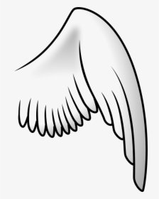 Transparent Angel Wings Vector Png - Bird Wing Clip Art, Png Download, Transparent PNG