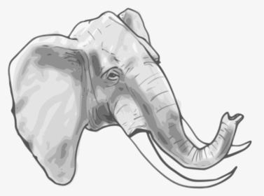 Elephant Head Colouring Page , Transparent Cartoons - Elephant Head Coloring Page, HD Png Download, Transparent PNG