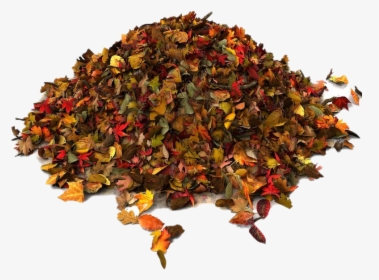Pile Of Autumn Leaves Png File - Waste, Transparent Png, Transparent PNG