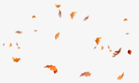 Falling Leaves Png - Autumn Leaves Flying Png, Transparent Png, Transparent PNG