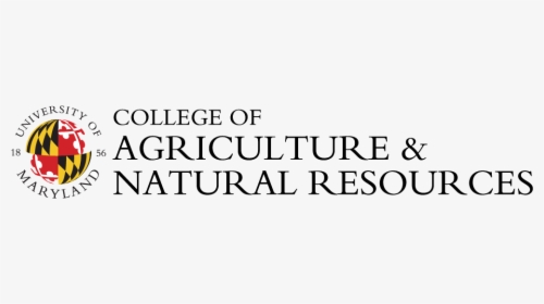 College Of Agriculture And Natural Resources - Calligraphy, HD Png Download, Transparent PNG