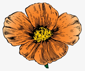 Cliparts For Free Download Floral Clipart Mexican And - California Golden Poppy Drawing, HD Png Download, Transparent PNG