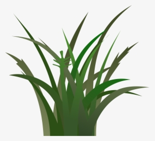 Green Grass Clip Art - Dark Green Grass Clipart, HD Png Download, Transparent PNG