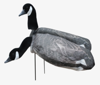 Transparent Duck Silhouette Png - Silhouette Goose Decoys, Png Download, Transparent PNG