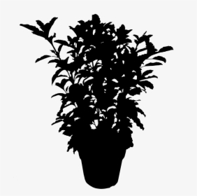 Plants Leaf Flowering Silhouette Plant Free Download - Plant Silhouette Png, Transparent Png, Transparent PNG