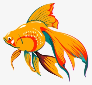 Fish, Asian, Tail, Golden, Exotic, Tropical, Fins - Fish Gif Png, Transparent Png, Transparent PNG