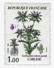 #stamp #stamps #flower #flowers #png #pngs #pngedit - France, Transparent Png, Transparent PNG