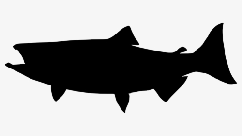 Fin - King Salmon Silhouette, HD Png Download, Transparent PNG