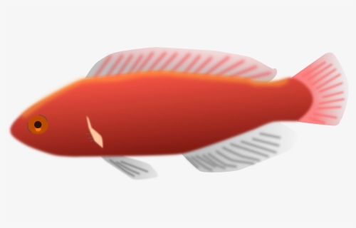 Long Fish Clip Art, HD Png Download, Transparent PNG