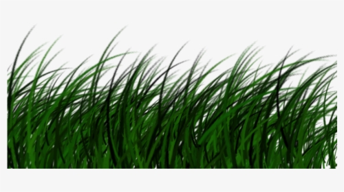 Free Download High Quality Grass Png Transparent Image - Portable Network Graphics, Png Download, Transparent PNG