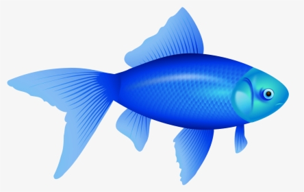 Blue Fish Transparent Background, HD Png Download, Transparent PNG