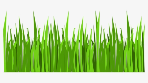 Grass Png Vector , Png Download - Vector Transparent Grass Png, Png Download, Transparent PNG