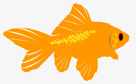 Fins Clipart Sea Life - Goldfish, HD Png Download, Transparent PNG
