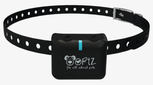 Transparent Shock Collar Png - Belt, Png Download, Transparent PNG