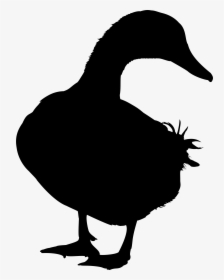 Duck Goose Silhouette Vector Graphics Image - Gambar Bebek Animasi Hitam Putih Vector, HD Png Download, Transparent PNG