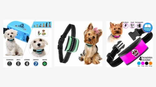Tiny Dog Bark Collar Reviews - Yorkshire Terrier, HD Png Download, Transparent PNG