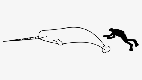 Clip Art File Size Wikimedia Commons - Narwhal Vs Human Size, HD Png Download, Transparent PNG