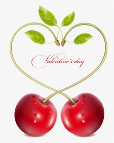 Cherry Vector Png Pic - Cherry Vector Free Download, Transparent Png, Transparent PNG