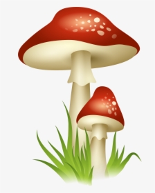 Mushroom Clipart Transparent, HD Png Download, Transparent PNG