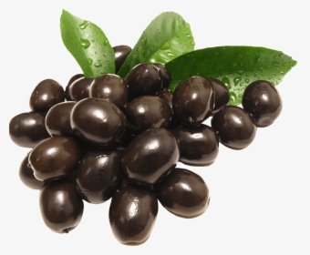 Food,natural Coffee Plant - Black Olives Png, Transparent Png, Transparent PNG
