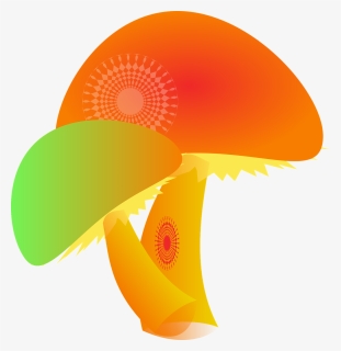 Mushroom, Fungi, Hallucinogenic, Plants, Drugs - Dibujos Chidos De Corazon Con Jeringa Inyectado, HD Png Download, Transparent PNG