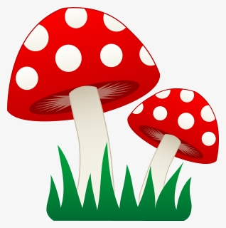 Mushroom Clipart Transparent - Mushrooms Clipart, HD Png Download, Transparent PNG