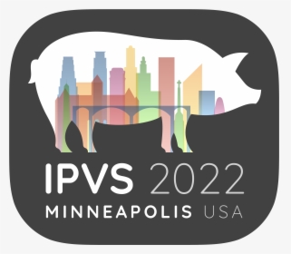 Ipvs 2022 - - Graphic Design, HD Png Download, Transparent PNG