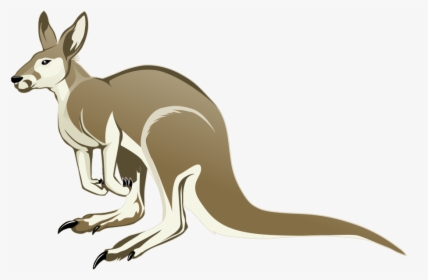 Download Kangaroo Png Transparent Images Transparent - Transparent Background Kangaroo Clipart Png, Png Download, Transparent PNG