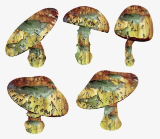 Trippy Mushroom Png - Shiitake, Transparent Png, Transparent PNG