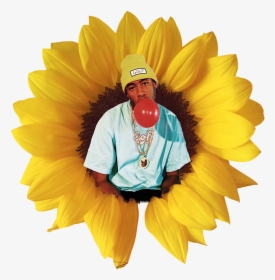 Transparent Tyler The Creator Png - Sunflower Png, Png Download, Transparent PNG