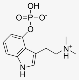 Psilocybin Chemical Structure - 4 Aco Dmt Molecule, HD Png Download, Transparent PNG