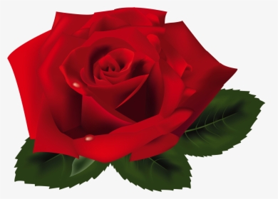 Red Rose Png Clipart - Rosa Png, Transparent Png, Transparent PNG