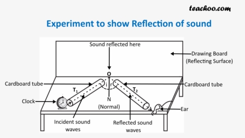 Experiment To Show Reflection Of Sound New - Reflection Of Sound Ncert, HD Png Download, Transparent PNG