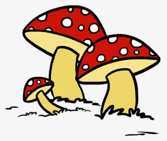 How To Draw A Mushroom - Easy To Draw Fungi, HD Png Download, Transparent PNG