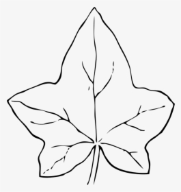 Fall Leaves Clip Art Black And White - Clip Art Pumpkin Leaves, HD Png Download, Transparent PNG