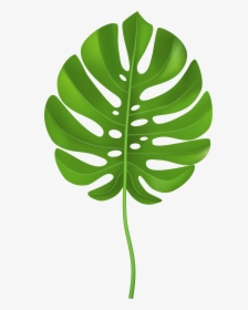 Tropical Palm Leaf Transparent Png Clip Art Image - Clip Art Palm Leaf, Png Download, Transparent PNG