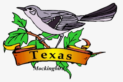 Transparent Mockingbird Clipart - Printable Texas State Bird, HD Png Download, Transparent PNG
