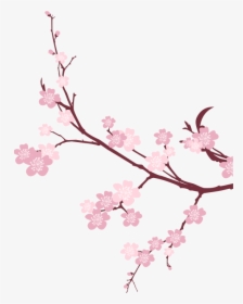 Cherry Blossom Png Images Transparent Free Download - Cherry Blossom Background Png, Png Download, Transparent PNG