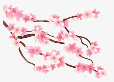 Free Png Pink Spring Branch Png Images Transparent - Cherry Blossom Art Png, Png Download, Transparent PNG