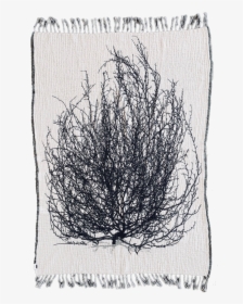 Tumbleweed Textiles - Thread - Tumbleweed Png, Transparent Png, Transparent PNG