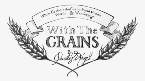 Transparent Film Grain Png - Illustration, Png Download, Transparent PNG