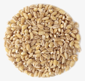 Transparent Grain Png - Barley, Png Download, Transparent PNG