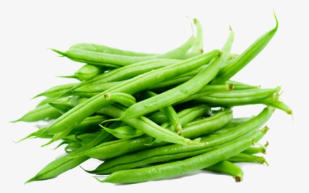 Green Beans Png Free Download - Green Beans Transparent Background, Png Download, Transparent PNG