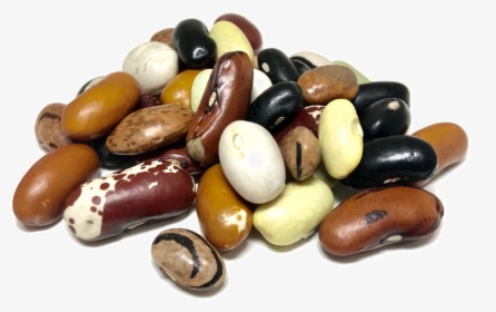 Dry Beans, HD Png Download, Transparent PNG