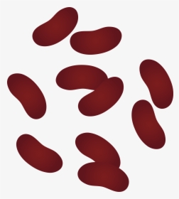 Beans Clipart - Kidney Beans Clip Art, HD Png Download, Transparent PNG