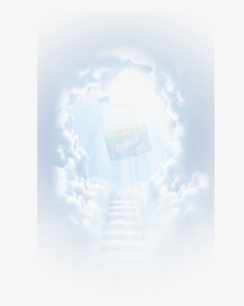 Transparent Stairway To Heaven Png - Airbus, Png Download, Transparent PNG