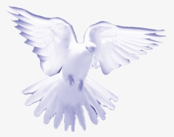 White Birds On Heaven , Png Download - Holy Spirit White Doves, Transparent Png, Transparent PNG