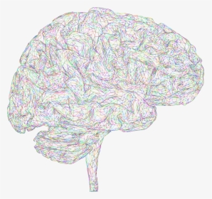 Brain, 3d, Thought, Mind, Mental, Think, Psychology, - Cerebro 3d Png, Transparent Png, Transparent PNG